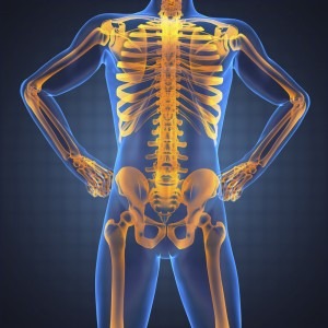 human radiography scan